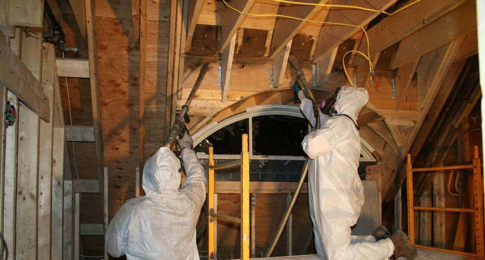 Mold Removal Experts