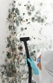 24/7 Emergency Mold Removal in South Florida