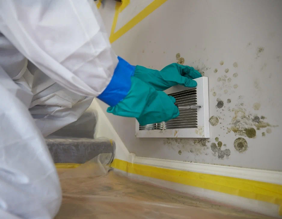 Mold Removal and Prevention in Plantation Florida