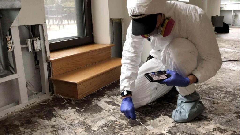 Mold Inspection and Remediation in West Palm Beach Florida