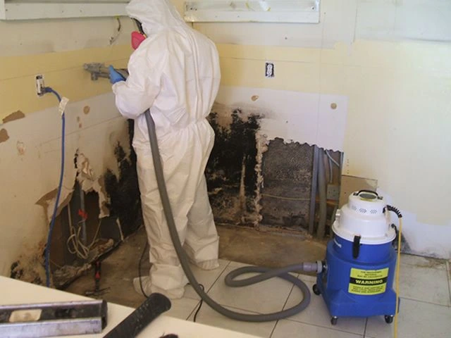Mold Remediation Experts in Fort Lauderdale Florida